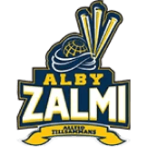 Team logo